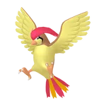#0017 Alpha Pidgeotto