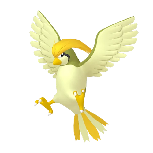 #0017 Alpha Pidgeotto