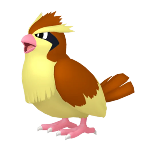 #0016 Pidgey Custom
