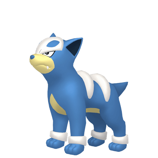 #0228 Houndour[Legends Z-A]