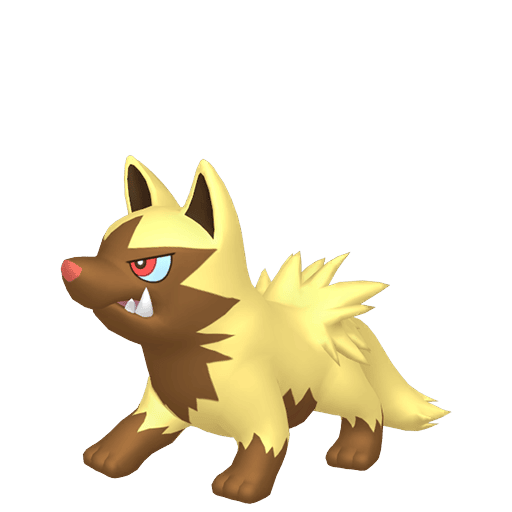 #0261 Poochyena [Scarlet & Violet]